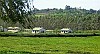 KenyaNandiHills