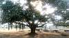 27_brahmasthan