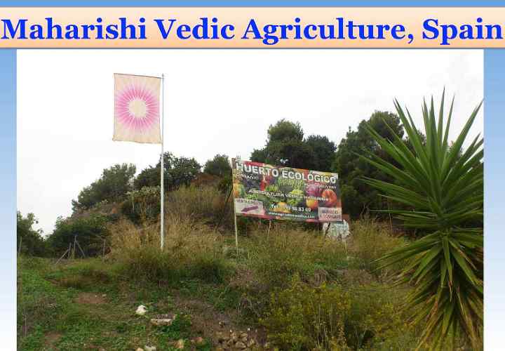 SpainMVOA.jpg - Spain: The Flag of Invincibility was raised at the Maharishi Vedic Orgaic Agriculture Project by the National Minister of Agriculture, Jose Antonio Cordero.