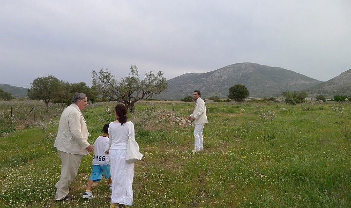 Greece-001-(10)s.jpg - Although future plans for the land include a Maharishi Peace Palace, currently the view is of pastoral poppy fields.