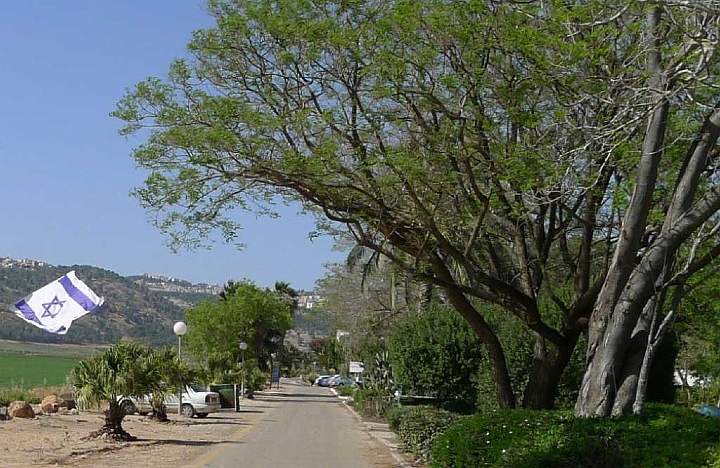 Israel-038s.jpg - During his stay in Israel, Dr Morris stayed comfortably in a kibbutz on this road with Nazareth perched on the hill behind.