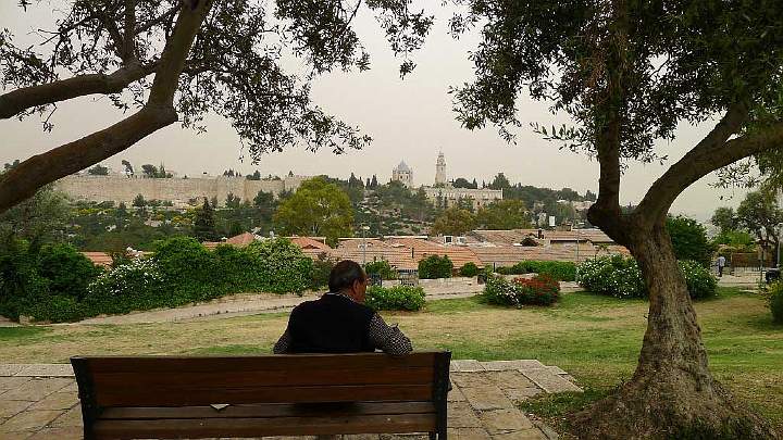 Israel-195s.jpg - The old city of Jerusalem is seen in the distance from this park.
