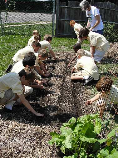 04.jpg - Project-based learning at MSAE includes the hands-on, seed-to?table programme where students discover the joy and value of living in harmony with the environment.