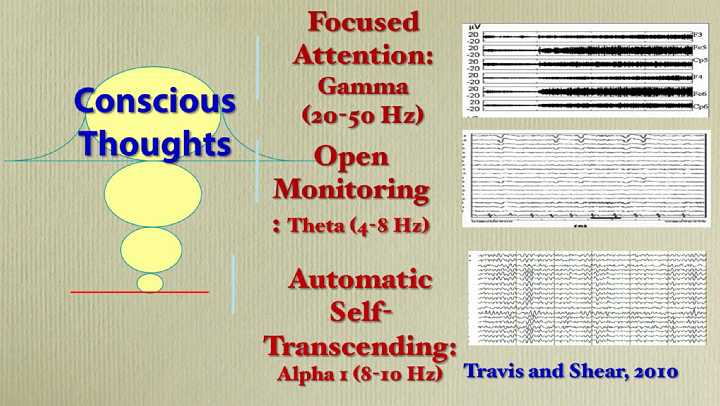 52_Bevan.jpg - Dr Fred Travis? Conscious Thoughts chart shows the difference in brain waves during three different commonly used types of meditation? concentration, contemplation and Transcendental Meditation. During concentration types of meditation there are fast (20-50 Hz) gamma waves on the surface of the mind. During contemplation you see slow theta waves (4-8 Hz). During Transcendental Meditation, when automatic self-transcending occurs, then we see highly coherent alpha waves in the 8-10 Hz range.