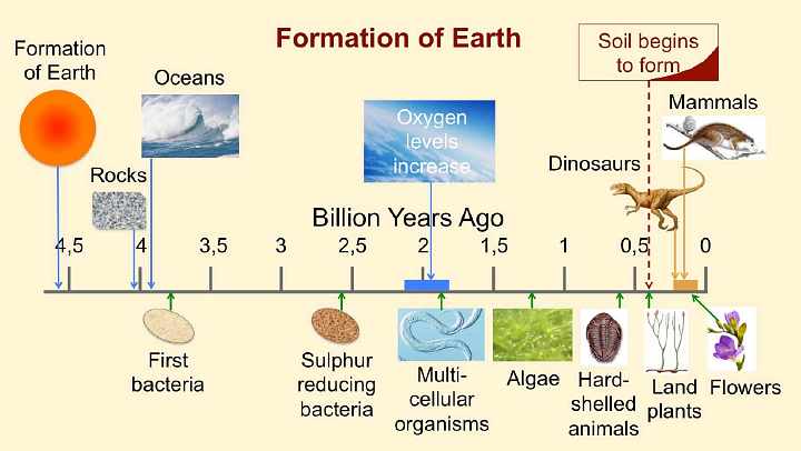 Slide05.jpg - This graph shows a timeline of the formation of the Earth, in the molten stage, starting about 4.6 billion years ago. Rocks, oceans, and the first bacteria appeared around 4 billion years ago. At 2 billion years ago oxygen levels increased and multi-cellular organisms appeared. Then came algae and slightly over half a billion years ago the first hard-shelled animals appeared after which came dinosaurs and land plants. At that time, half a billion years ago, the first soil began to form on Earth.