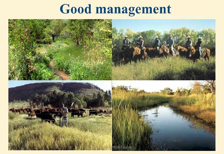 Slide68.jpg - These images were taken the same day as the prior one, on four neighbouring ranches. The land is fertile, water is flowing, and vegetation is lush. In all four situations there is just one difference in the way the lands are managed? and that is cattle management. The well-managed ranches with healthy, productive soil graze the cattle and move them along to the next area on a schedule that does not debilitate the land. Managing cattle grazing is one way to successfully restore an eroded environment.