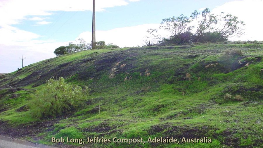 Slide19.jpg - The grass seed, nourished by the compost mixture in the soil, sprouted and covered the entire area, thus preventing further erosion, and after one year was flourishing as seen above.