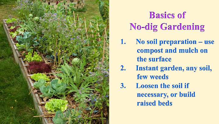 Slide27.jpg - The no-dig gardening method requires very little soil preparation, or even none at all. A deep layer of a combination of compost and mulch is spread out on the surface of the soil and the seeds are planted into it. Raised beds filled with this mixture also work very well and require neither digging nor tilling.