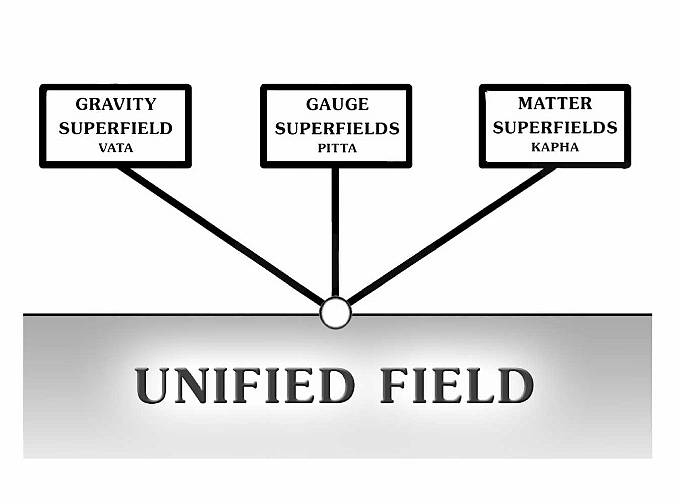 Slide07.jpg - This graphic depicts how ancient Vedic Science is linked to modern science. In physics 3 superfields? gravity, gauge and matter? can be linked to the three main qualities of Ayurveda? Vatta, Pitta and Kapha? and are united in their source in the Unified Field.