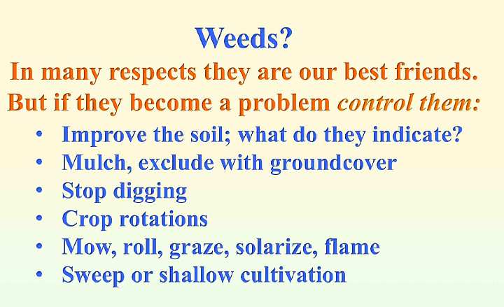 Slide43.jpg - In many respects weeds can be our friends in the garden because they improve the fertility of the soil. If weeds become a problem they can be controlled through natural means like mulching, crop rotation, mowing.