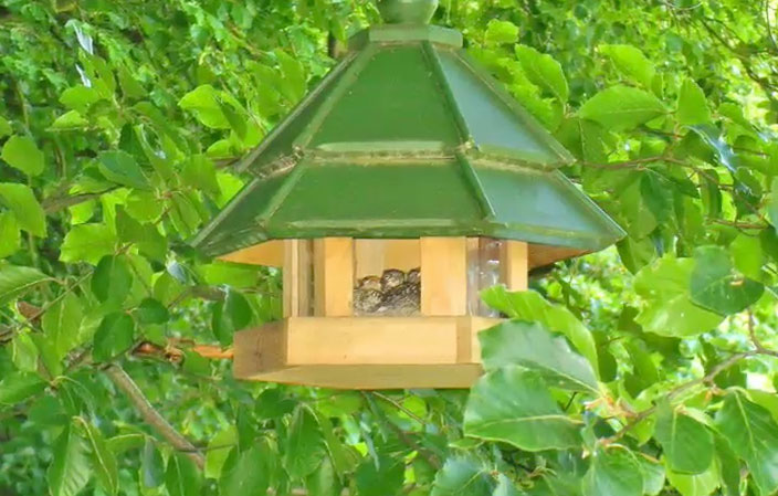 birdhouse.jpg - Maharishi Vedic Gardens highlight and uphold fundamental Laws of Nature in the design of small and large gardens, public parks, and forest gardens. Beautiful gardens celebrate the qualities of the Cosmic Administration of Nature?s Government surrounding the Maharishi Vastu Home.