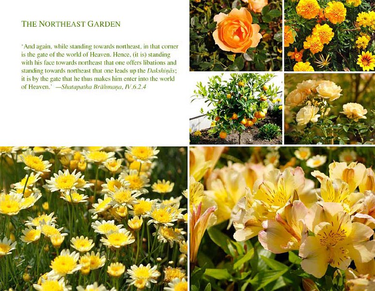 ne.jpg - The northeast garden: Appropriate Vedic recitations at the proper time can maximize the plant's growth, nutrition, and purity for the benefit of the consumer, the environment, and the gardener.